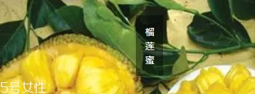 榴蓮蜜和菠蘿蜜的區別 榴蓮榴蓮蜜菠蘿蜜傻傻分不清