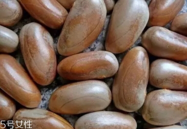 榴蓮蜜怎么吃？不同的吃法風格