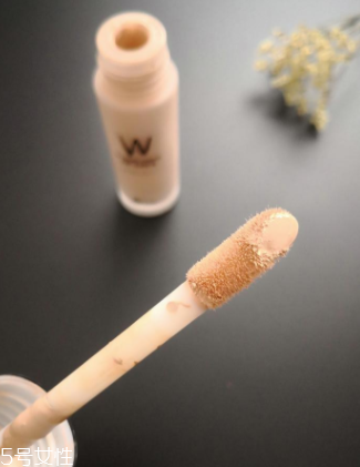 wlab粉底液好用嗎？全方位實測wlab粉底液效果