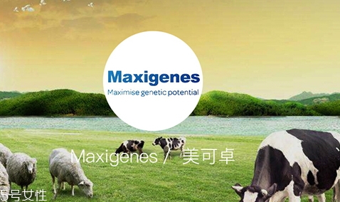 藍胖子奶粉全脂和脫脂怎么選擇？口感和熱量的抉擇