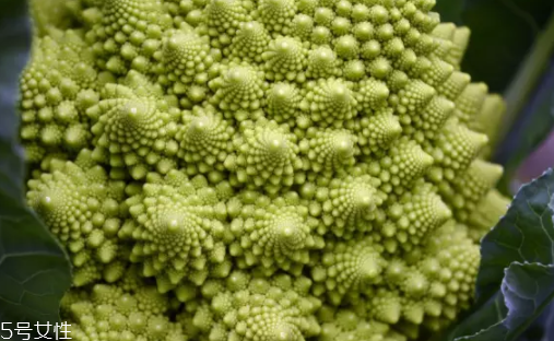 花菜在冰箱能放幾天？不要超過7天