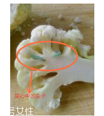 花菜怎么洗才干凈？一定要把蟲子洗掉