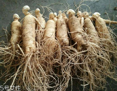 西洋參會推遲月經嗎？這個是有可能的