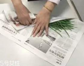 韭菜怎么保存時間長？真空保存最持久