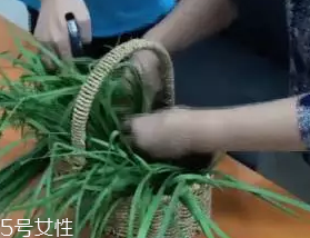 韭菜怎么保存時間長？真空保存最持久