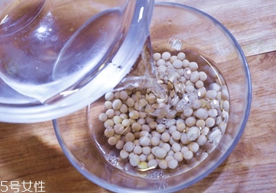 用豆漿機打豆漿豆子和水的比例多少最好