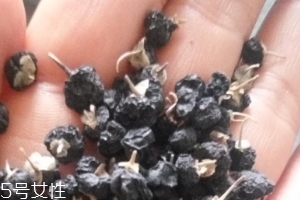 黑枸杞為什么是藍色？花青素的原因