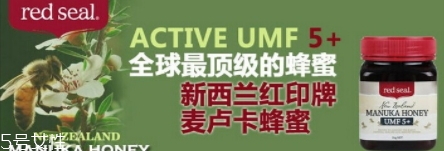 麥盧卡蜂蜜哪個牌子好？