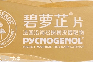碧蘿芷到底好不好？帶你了解碧蘿芷
