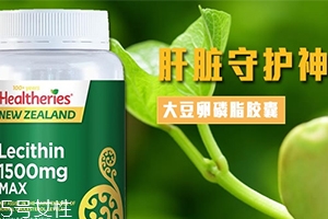 卵磷脂多少錢一瓶？人體的三大營養素