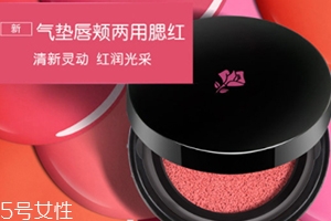 2022氣墊腮紅哪個牌子好用？