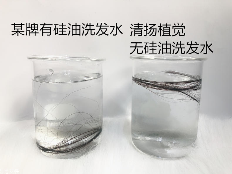 清揚0硅油洗發(fā)水好用嗎？自帶高級感香調(diào)
