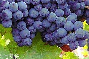 葡萄籽會長痘嗎？沒有這個(gè)情況