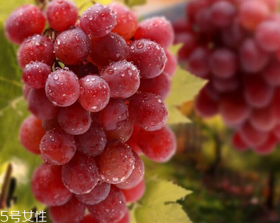 葡萄籽會長痘嗎？沒有這個(gè)情況