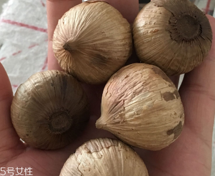 黑蒜怎么吃？黑蒜最好吃的吃法