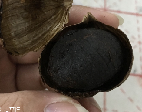 黑蒜是種植出來的嗎？黑蒜怎么來的