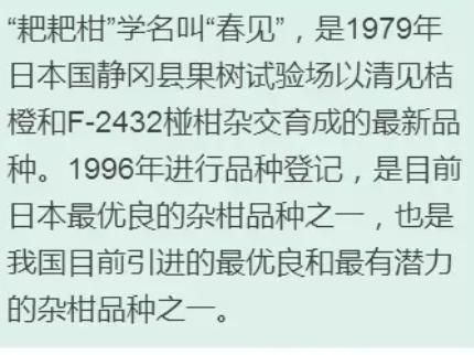 枇杷柑是丑橘嗎？枇杷柑和丑橘的區別
