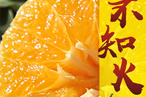 不知火和丑八怪的區別 不知火是丑八怪嗎