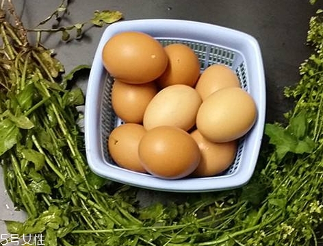 地菜花薺菜花煮雞蛋上午吃還是下午吃？