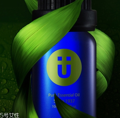尤加利精油味道是什么？好聞嗎