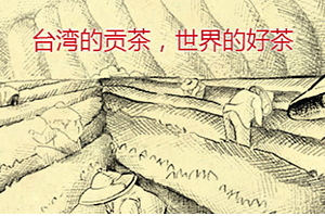 四云奶蓋貢茶哪個好喝？四云奶蓋貢茶點單攻略