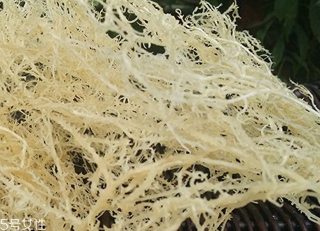 干鹿角菜怎么清洗泡發 干鹿角菜的處理方法