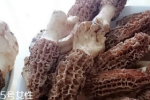 羊肚菌是什么東西？羊肚菌能吃嗎？