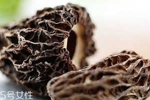 羊肚菌是發物嗎？羊肚菌屬于發物嗎？