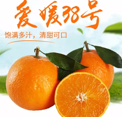 愛媛38號(hào)是橙子還是橘子？愛媛38號(hào)適合哪里種植？