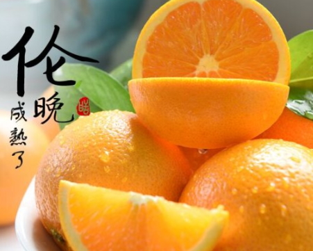倫晚臍橙和夏橙哪個好？倫晚臍橙和其他橙子的區別