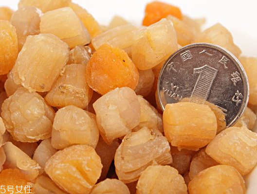 干貝是瑤柱嗎？干貝跟瑤柱的區別