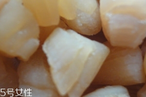 干貝是海鮮嗎？干貝是什么動物做的？