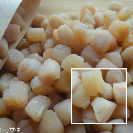 干貝是海鮮嗎？干貝是什么動(dòng)物做的？