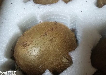 綠心獼猴桃硬的能吃嗎？硬的綠心獼猴桃能吃嗎？