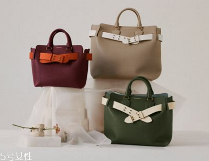 burberry the belt bag多少錢？巴寶莉貝爾特包專柜價格