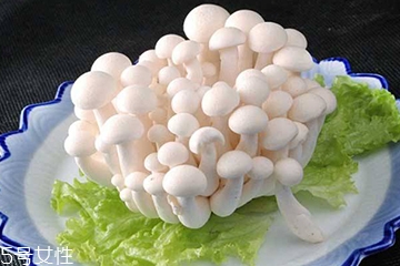白玉菇和海鮮菇的區別 白玉菇和海鮮菇是一樣的嗎？