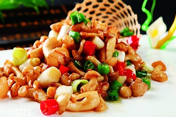 白玉菇和金針菇的區別 白玉菇是金針菇嗎？
