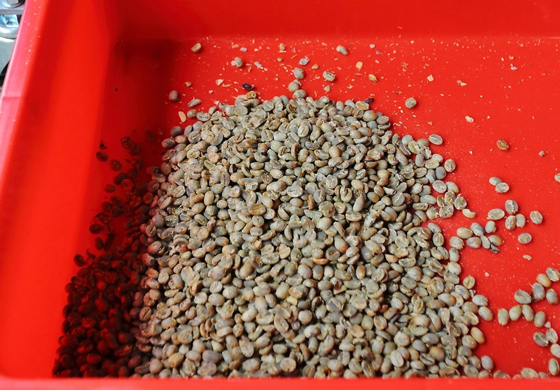 咖啡豆新豆、舊豆、老豆各有什么特色