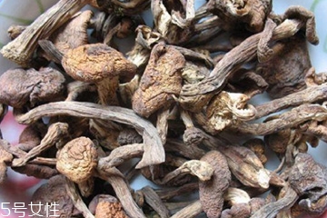 榛蘑和木耳的區別 榛蘑和木耳能一起吃嗎？
