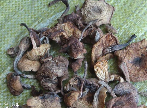 榛蘑能保存多久？干榛蘑怎么保存最好？