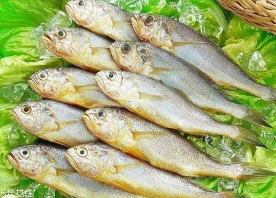 黃花魚去鱗嗎？黃花魚去內(nèi)臟嗎？