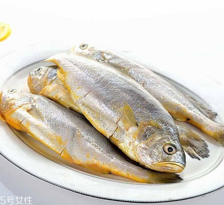 黃花魚為什么都是死的？死黃花魚可以吃嗎？