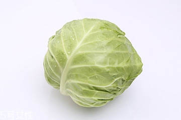 牛心菜是包菜嗎？牛心菜和包菜的區別