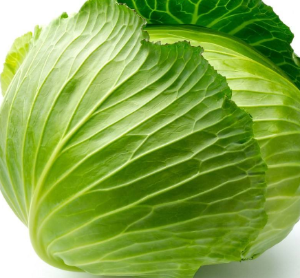 牛心菜能多吃嗎？牛心菜吃多了會(huì)怎樣？