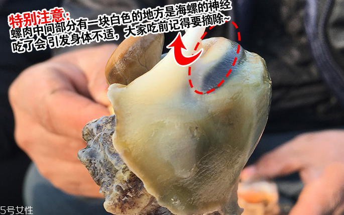 海螺會中毒嗎？吃海螺中毒多久會緩解？