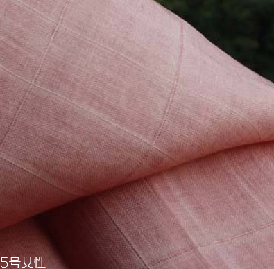 苧麻和棉麻哪個好 原來區別這么大