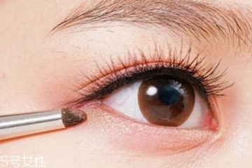 眼影刷動物毛和人造毛哪個好 都有各自的優點