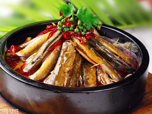 泥鰍是大的好還是小的好 大小都有營養