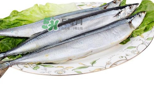 秋刀魚怎么處理？秋刀魚怎么挑選