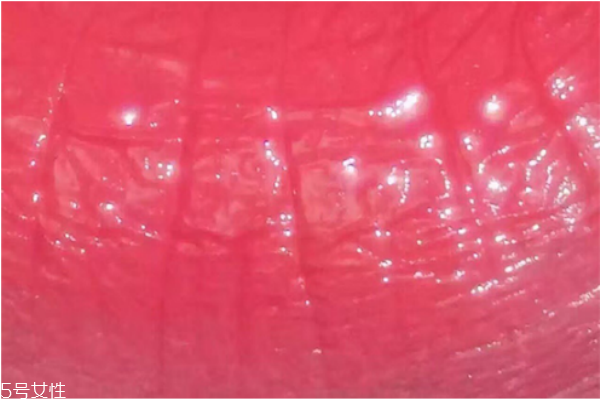 紀(jì)梵希口紅301是什么顏色 紀(jì)梵希口紅301試色